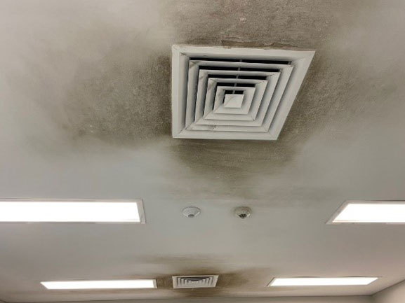 Mould Remediation Before — Commercial HVAC Cleaners in South East Queensland