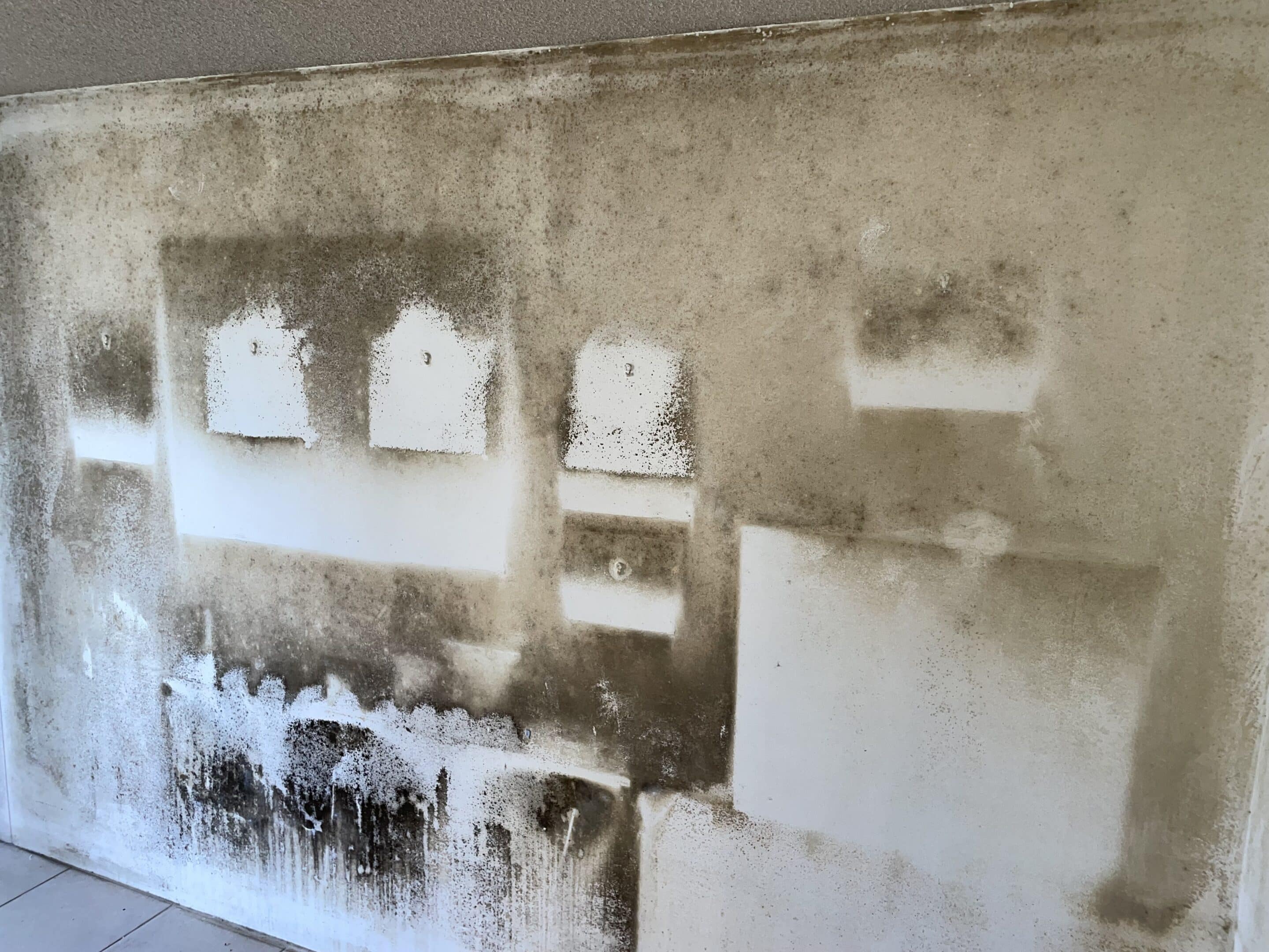 Before Cleaning Mould On The Wall