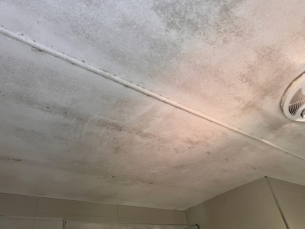 Before Ceiling Cleaning — Commercial HVAC Cleaners in South East Queensland