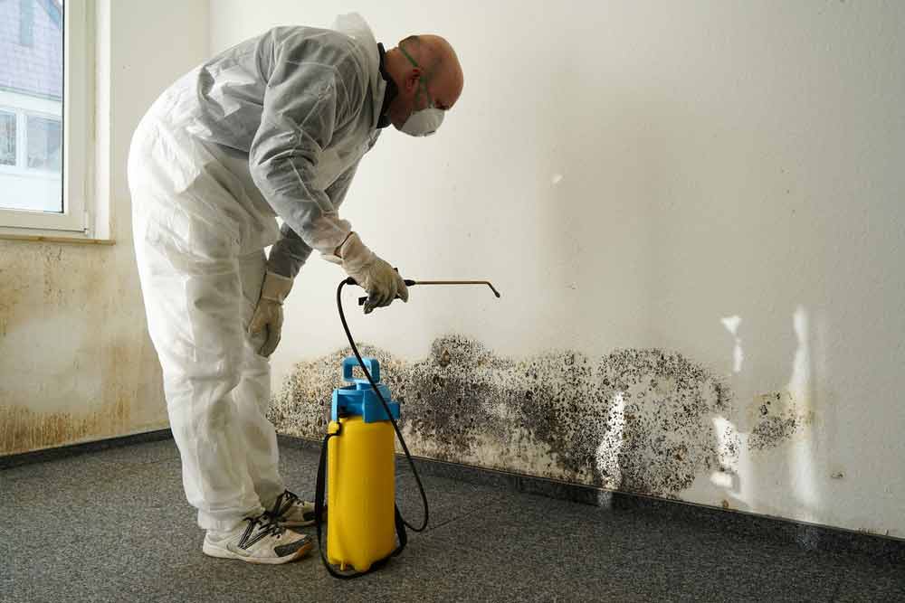 Worker Removing Mould In A Room — Commercial HVAC Cleaners in South East Queensland