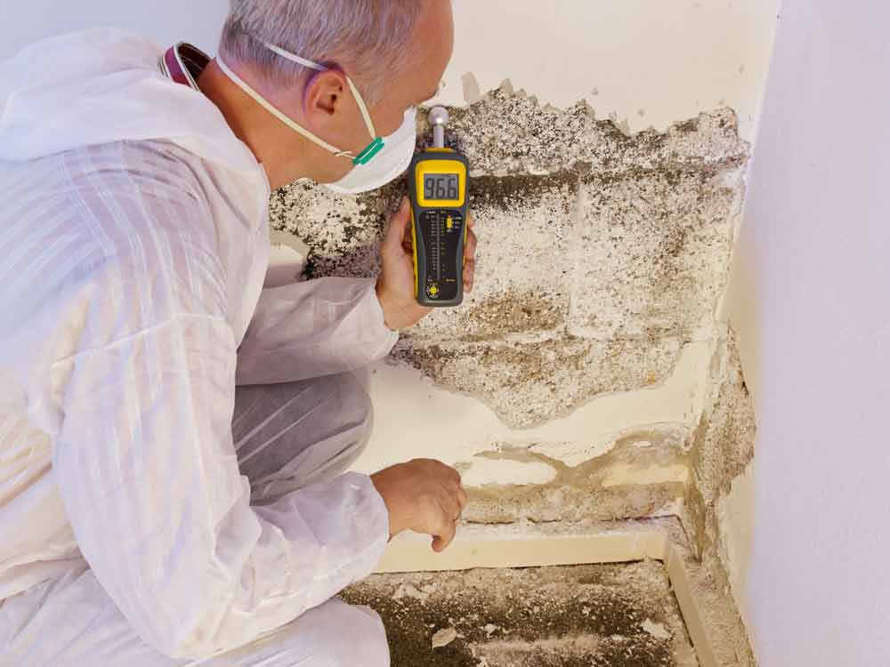 Pest Control Exterminator Using Moisture Meter Check To Detect Mould — Commercial HVAC Cleaners in South East Queensland