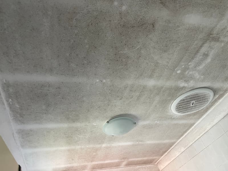 Mould covering the ceiling — Mould Cleaning Service in South East QLD