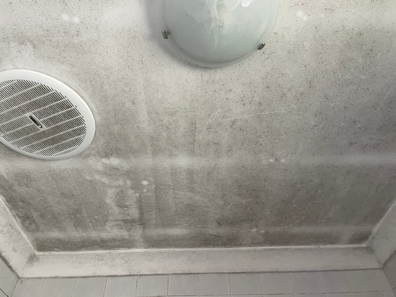 Ceiling marked with mould damage — Commercial Air Conditioner Cleaning in Penrith, NSW