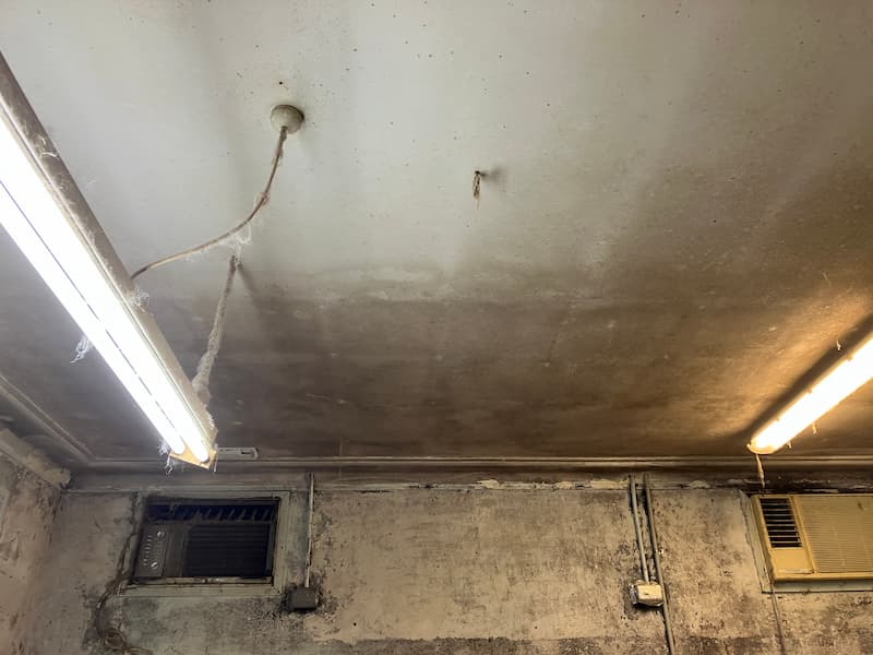 Dirty wall and ceiling — Mould Remediation in South East QLD