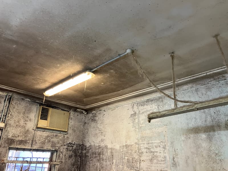 Ceiling and walls affected by mould — Commercial Air Conditioner Cleaning in Sydney, NSW