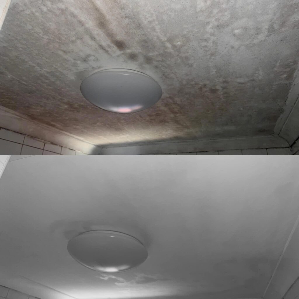 Ceiling Before And After Cleaning The Moulds