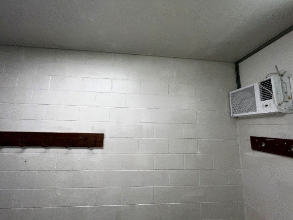Moldy Walls After Cleaning — Efficient Hygiene Services in Gold Coast, QLD