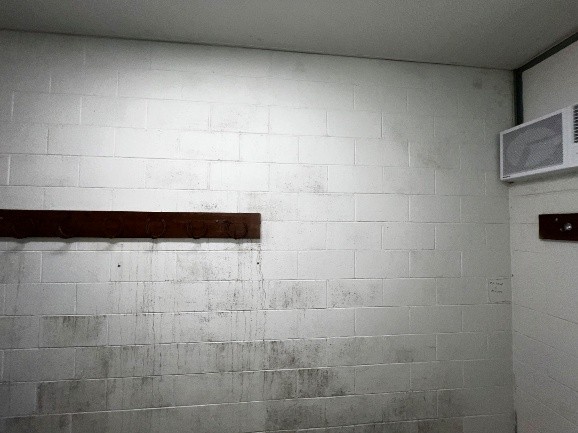 Moldy White Walls — Efficient Hygiene Services in Gold Coast, QLD