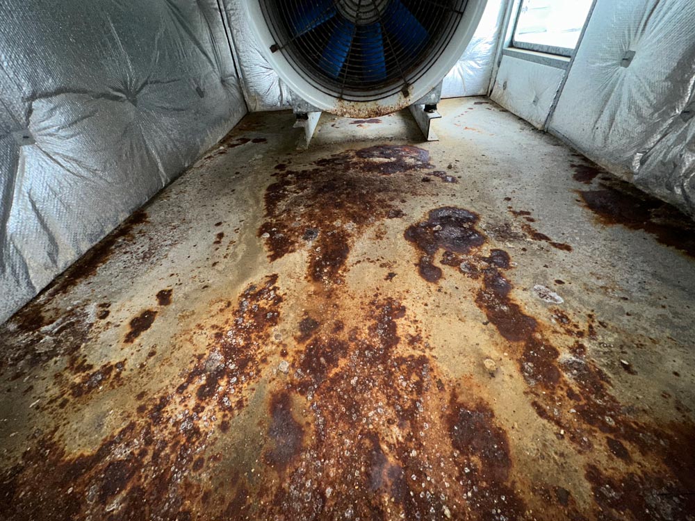 Before Removing Rust