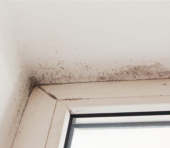 Mouldy Ceiling — Commercial HVAC Cleaners in South East Queensland