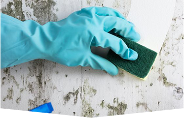 Cleaning Mould off Walls — Commercial HVAC Cleaners in South East Queensland