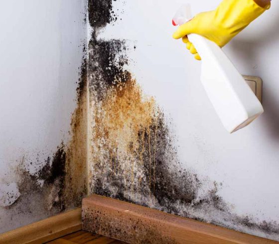 Black Mould In The Corner Of The Wall — Commercial HVAC Cleaners in South East Queensland