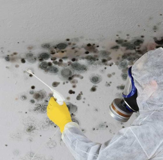 Man Removing Mould While Using Respirator Mask — Commercial HVAC Cleaners in South East Queensland