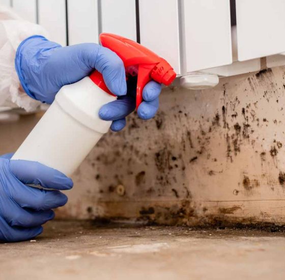Removing Mould From Internal Walls — Commercial HVAC Cleaners in South East Queensland
