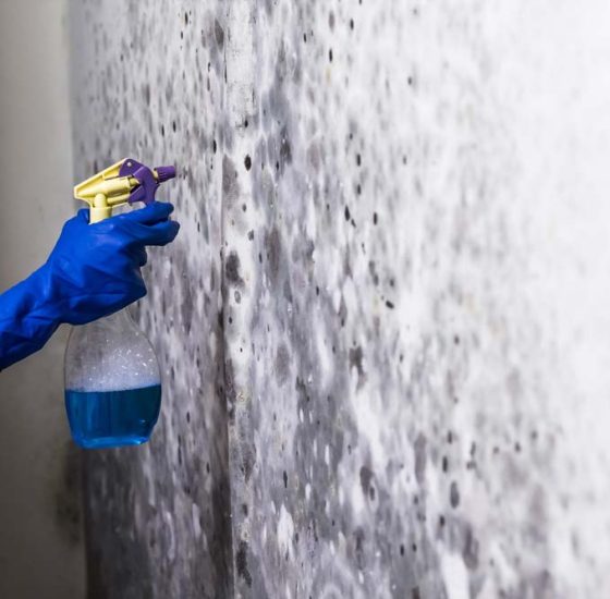 Removing Mould In The Room With Spray — Commercial HVAC Cleaners in South East Queensland