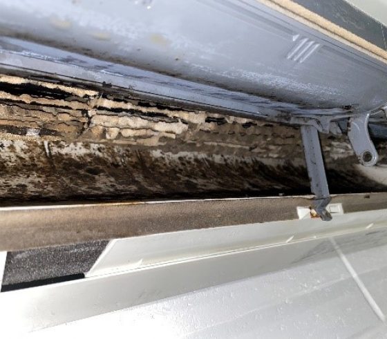 Mould Growth On Split System Before — Commercial HVAC Cleaners in South East Queensland