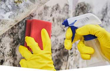 Mould Removal — Commercial HVAC Cleaners in Sunshine Coast, QLD